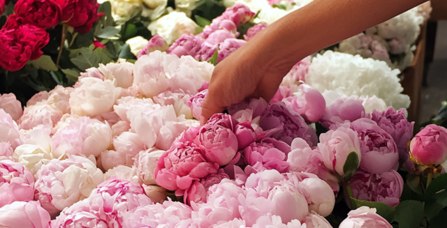 surround yourself with beauty